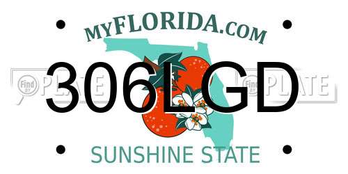 306LGD Florida License Plate