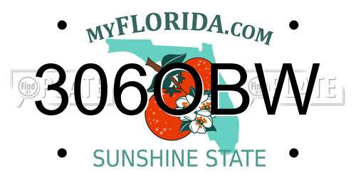 306OBW Florida License Plate
