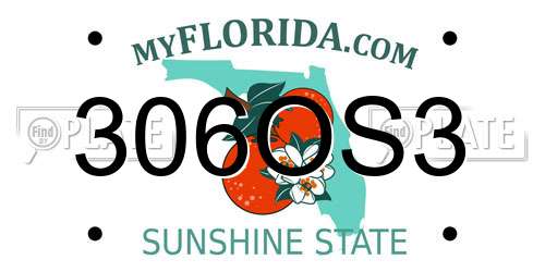 306OS3 Florida License Plate