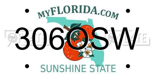 306OSW Florida License Plate