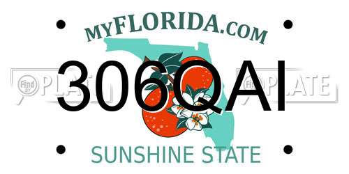306QAI Florida License Plate