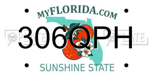 306QPH Florida License Plate