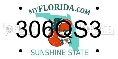306QS3 Florida License Plate