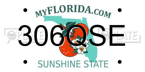 306QSE Florida License Plate