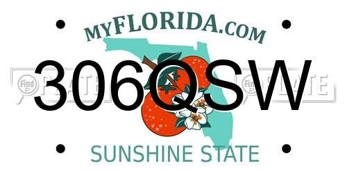 306QSW Florida License Plate