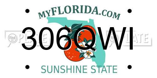 306QWI Florida License Plate
