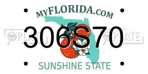 306S70 Florida License Plate