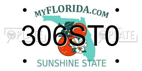 306ST0 Florida License Plate