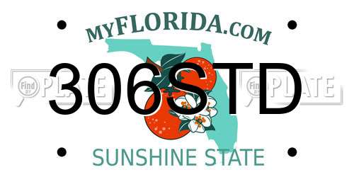 306STD Florida License Plate