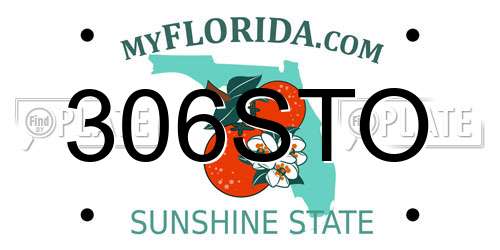 306STO Florida License Plate