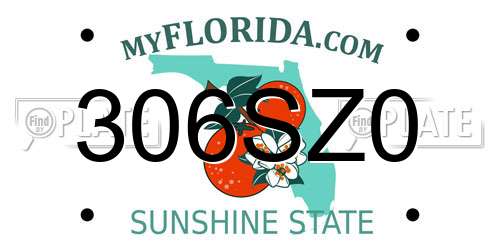 306SZ0 Florida License Plate