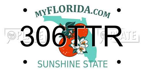 306TTR Florida License Plate
