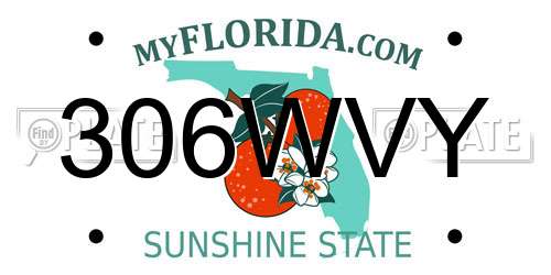306WVY Florida License Plate