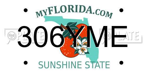 306YME Florida License Plate