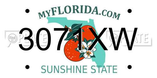 3071XW Florida License Plate