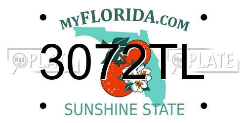 3072TL Florida License Plate