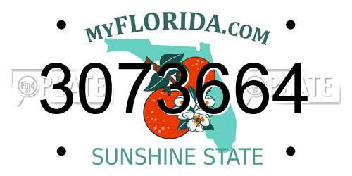3073664 Florida License Plate