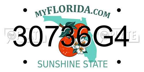 30736G4 Florida License Plate