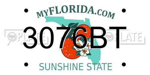 3076BT Florida License Plate