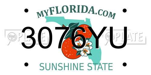 3076YU Florida License Plate