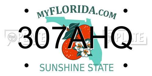 307AHQ Florida License Plate