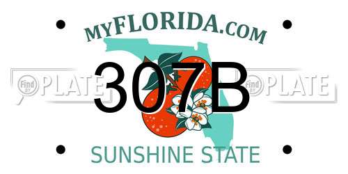 307B Florida License Plate