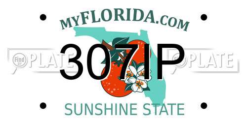 307IP Florida License Plate