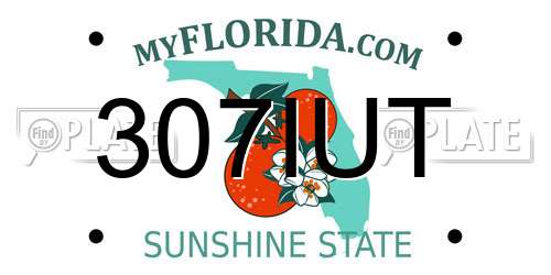 307IUT Florida License Plate