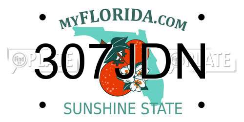307JDN Florida License Plate