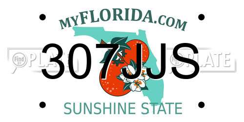 307JJS Florida License Plate
