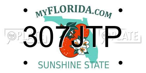 307JTP Florida License Plate