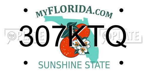 307KTQ Florida License Plate