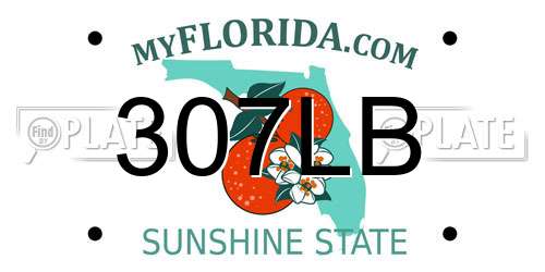 307LB Florida License Plate