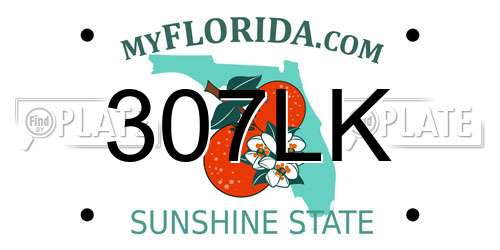 307LK Florida License Plate