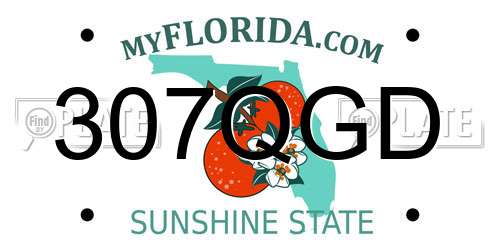 307QGD Florida License Plate