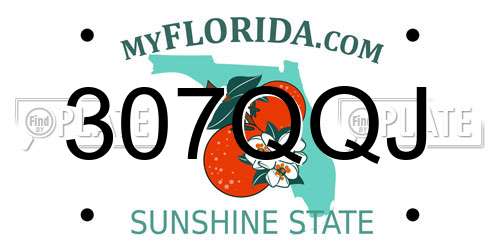 307QQJ Florida License Plate