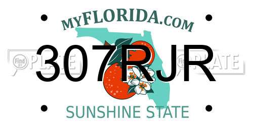 307RJR Florida License Plate