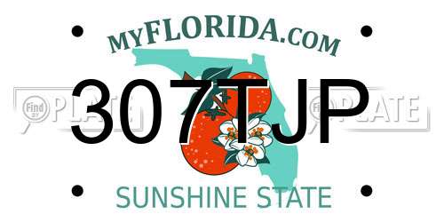 307TJP Florida License Plate