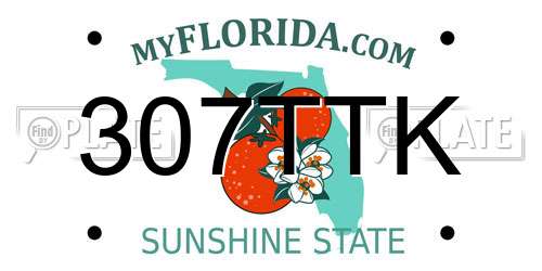 307TTK Florida License Plate