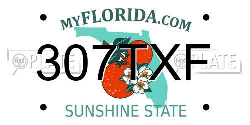 307TXF Florida License Plate