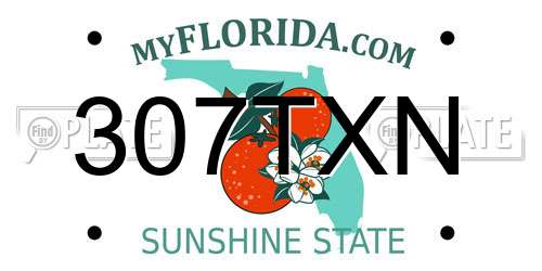 307TXN Florida License Plate