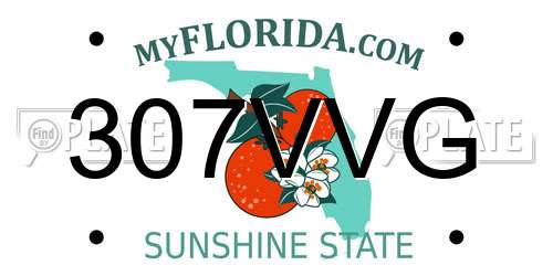 307VVG Florida License Plate
