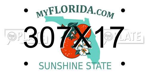 307X17 Florida License Plate