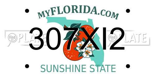 307XI2 Florida License Plate
