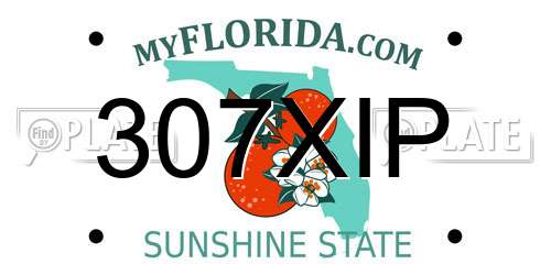 307XIP Florida License Plate
