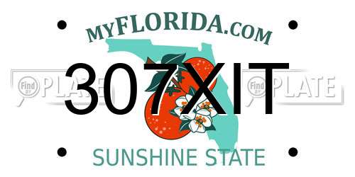 307XIT Florida License Plate