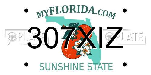 307XIZ Florida License Plate