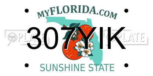 307YIK Florida License Plate