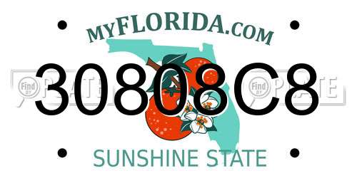 30808C8 Florida License Plate