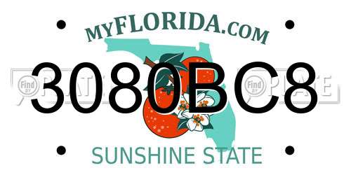 3080BC8 Florida License Plate